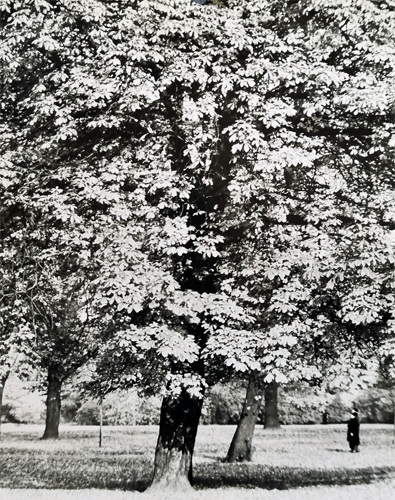 Stadtpark
