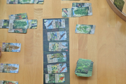 PXL_20241120_105501303-Kopie PXL_20241120_105501303-Kopie